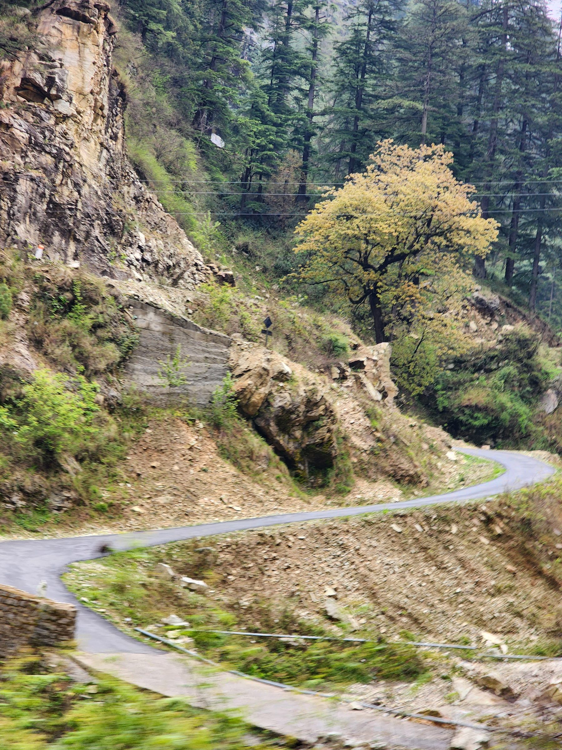 A winding road cuts through a rocky, forested hillside in the mountains