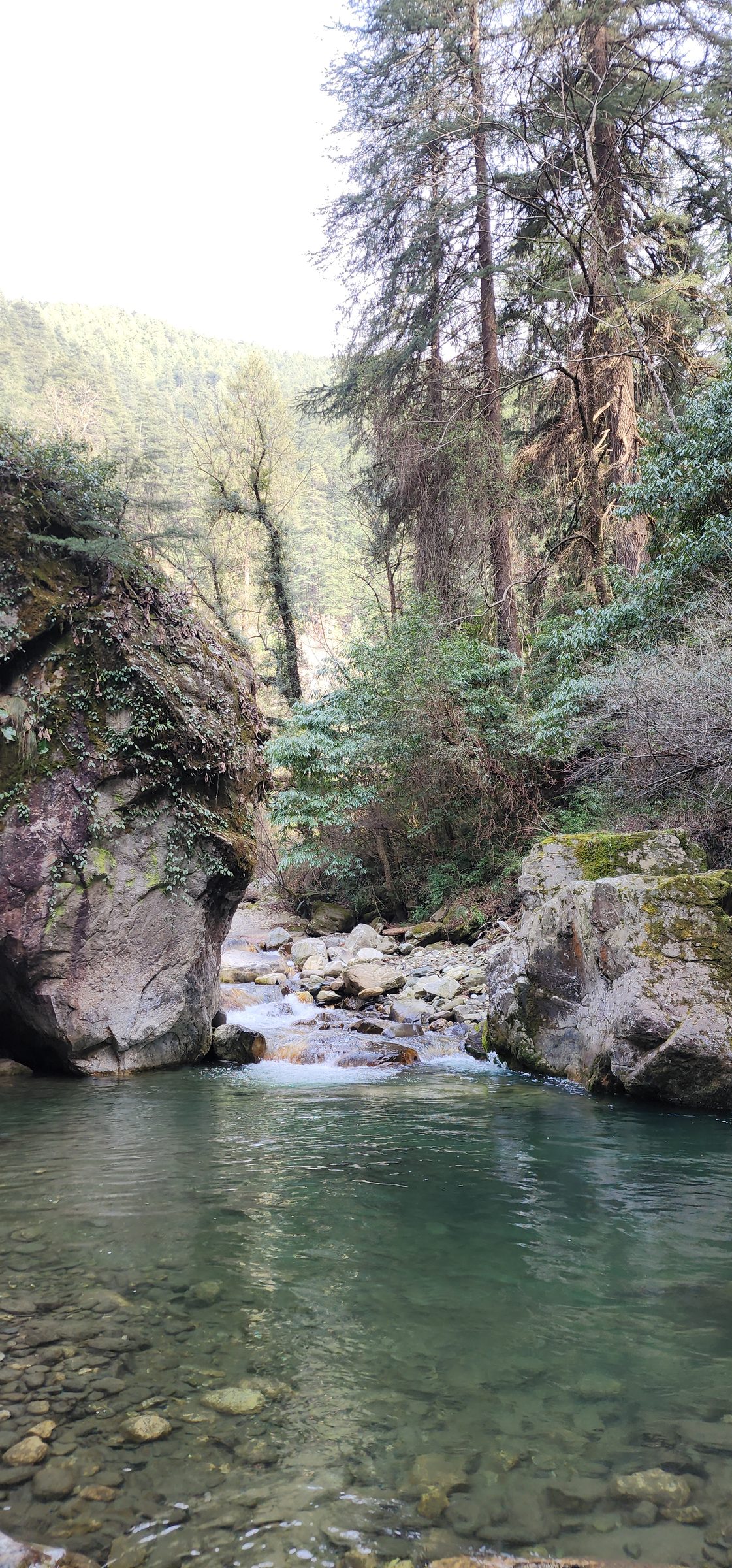Clear, fast-flowing stream surrounded by large mossy rocks and dense green trees, Near Ailyak