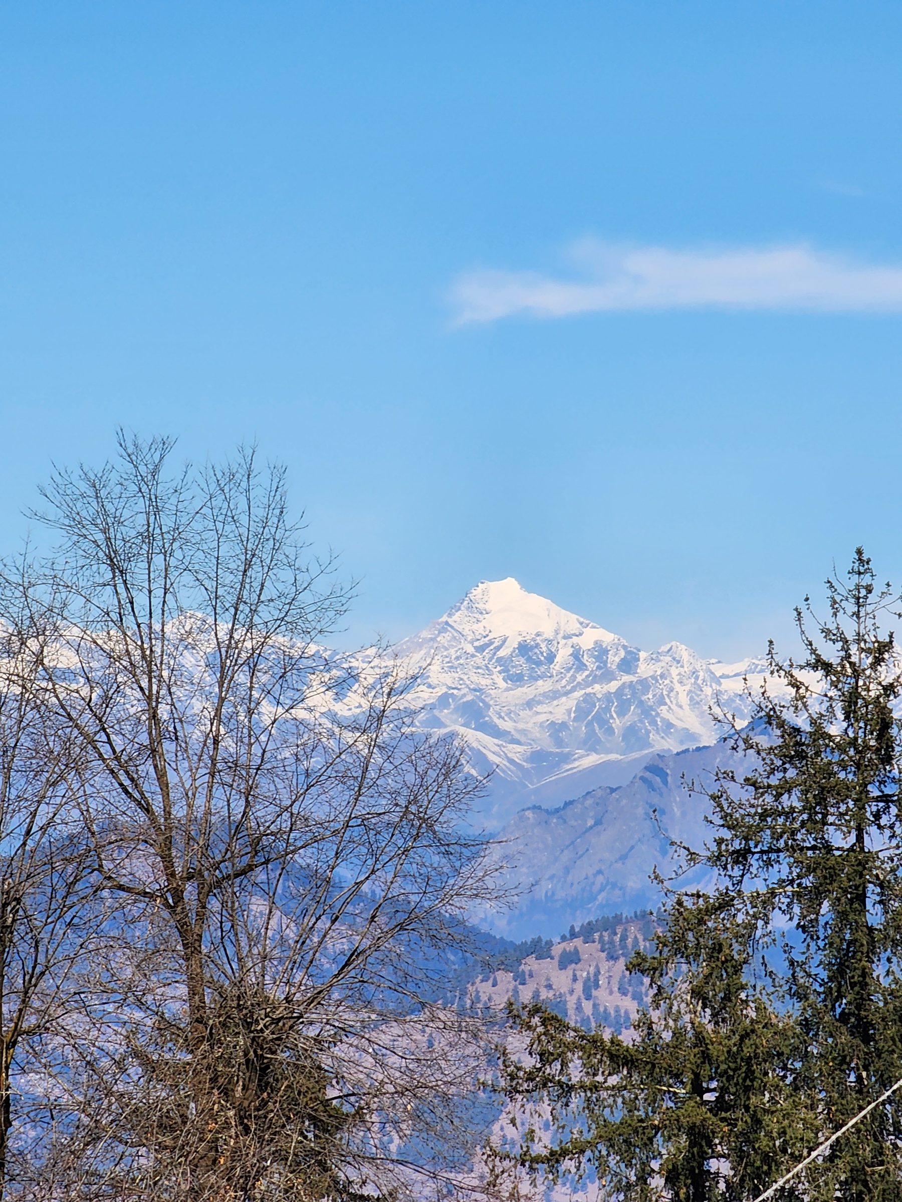 Bare tree branches in the foreground against a snow-covered mountain