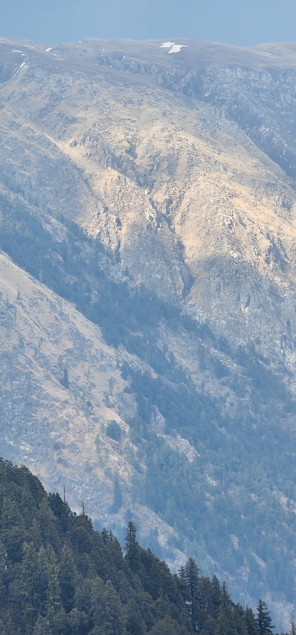 Steep, forested mountainsides in the Jibhi Valley, Himachal Pradesh.