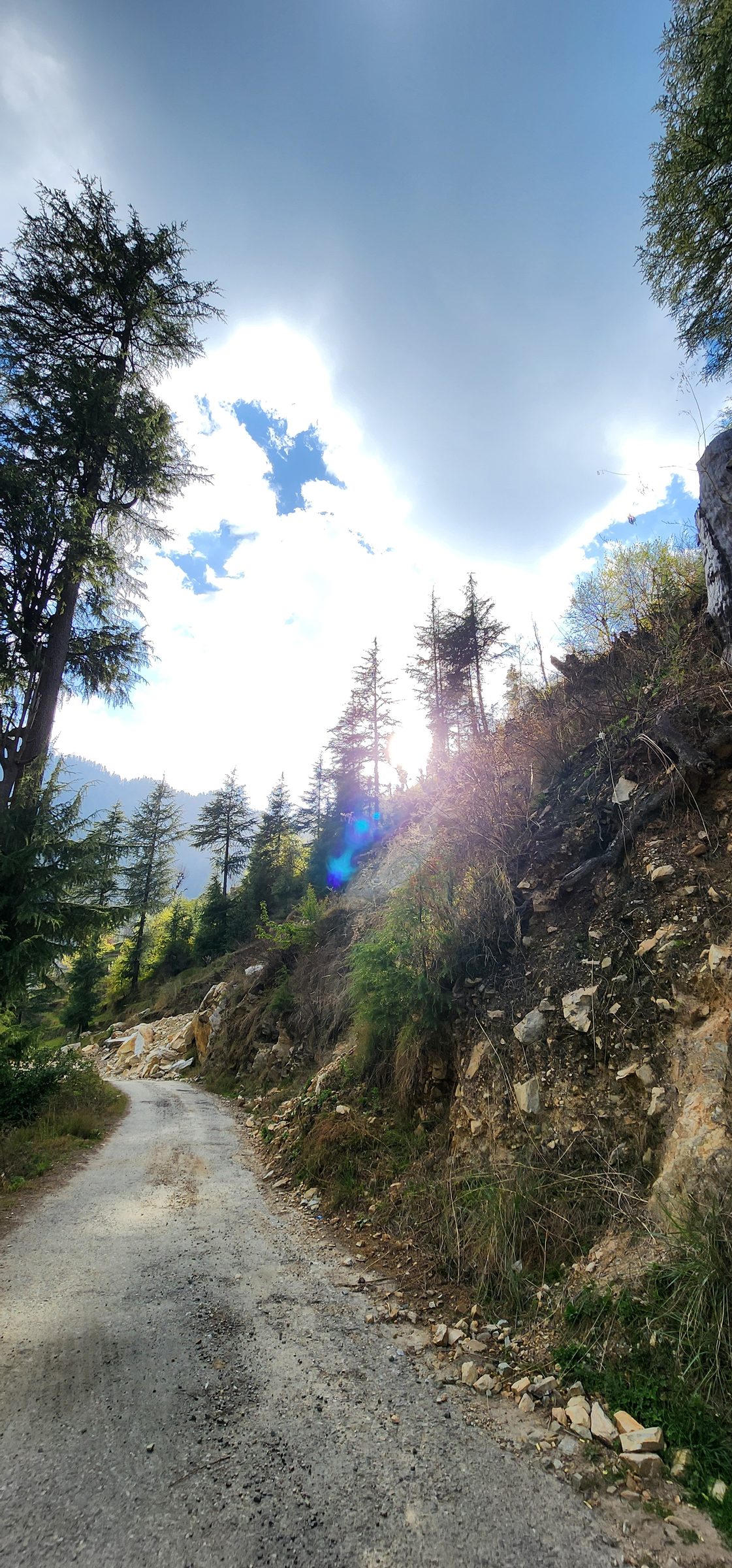 A dirt road winds through lush green, hilly terrain in the Jibhi Valley.