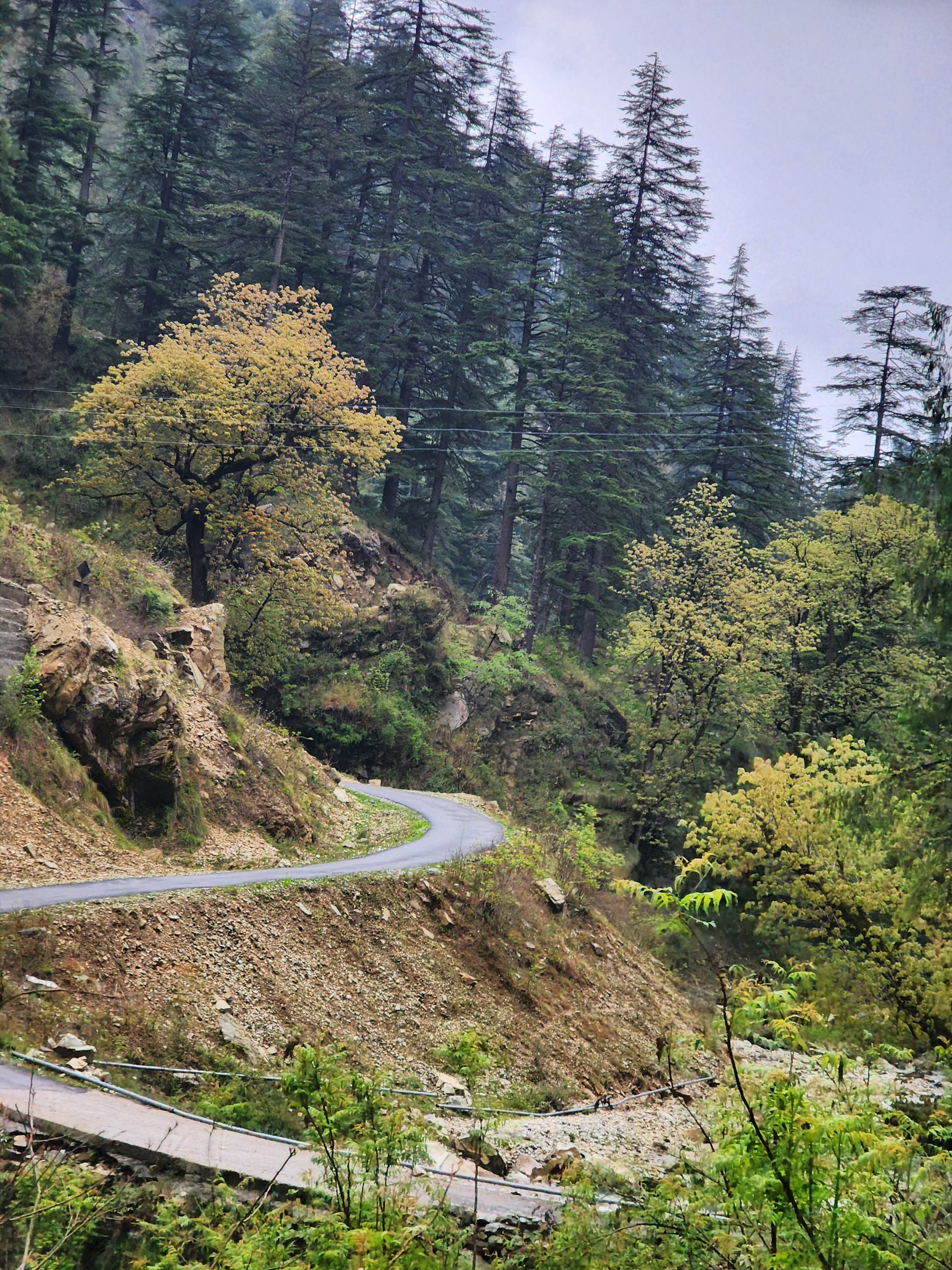 A winding road follows a steep, vegetated hillside in the mountains
