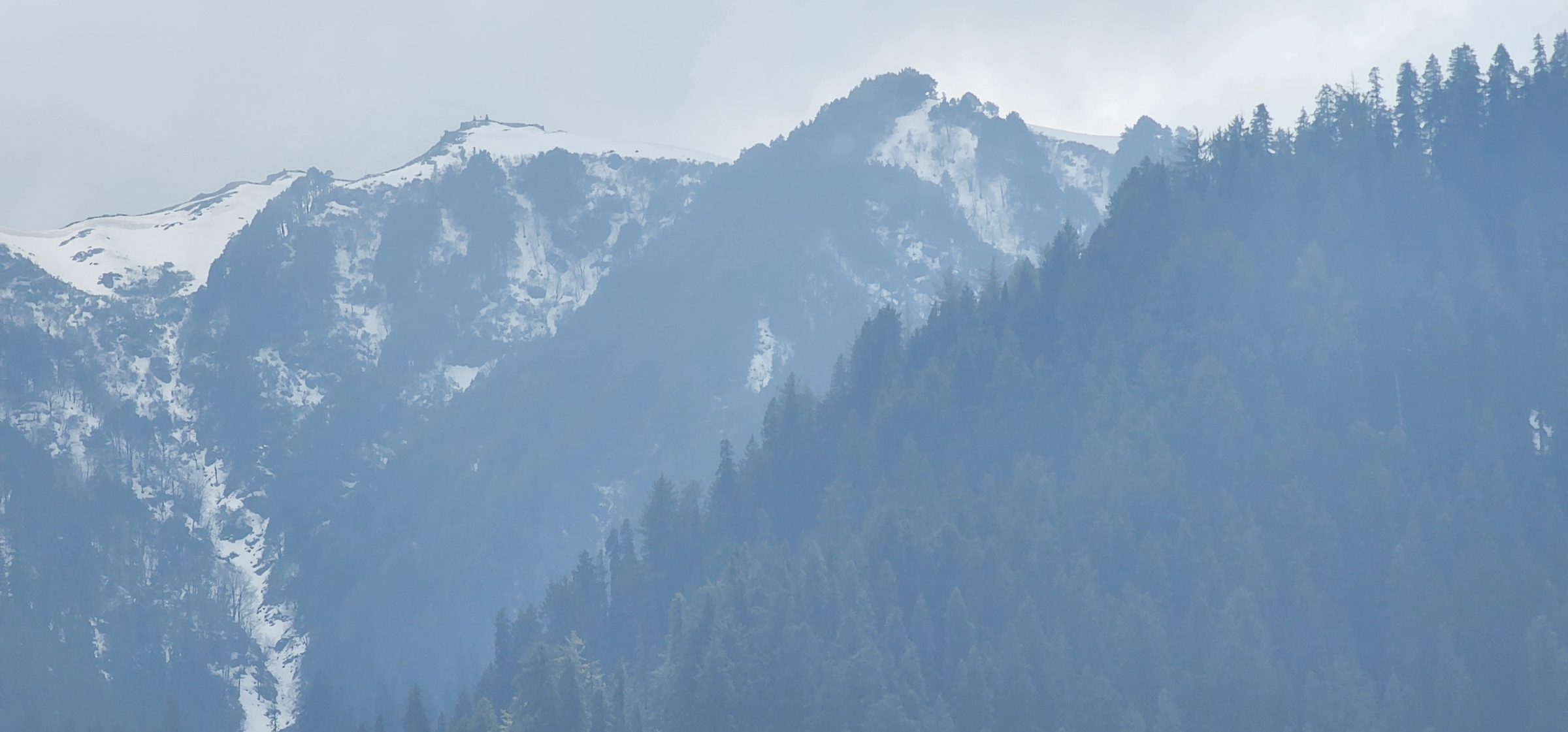 View of dense green pine forests covering hazy mountains in Jibhi Valley, Himachal Pradesh.
