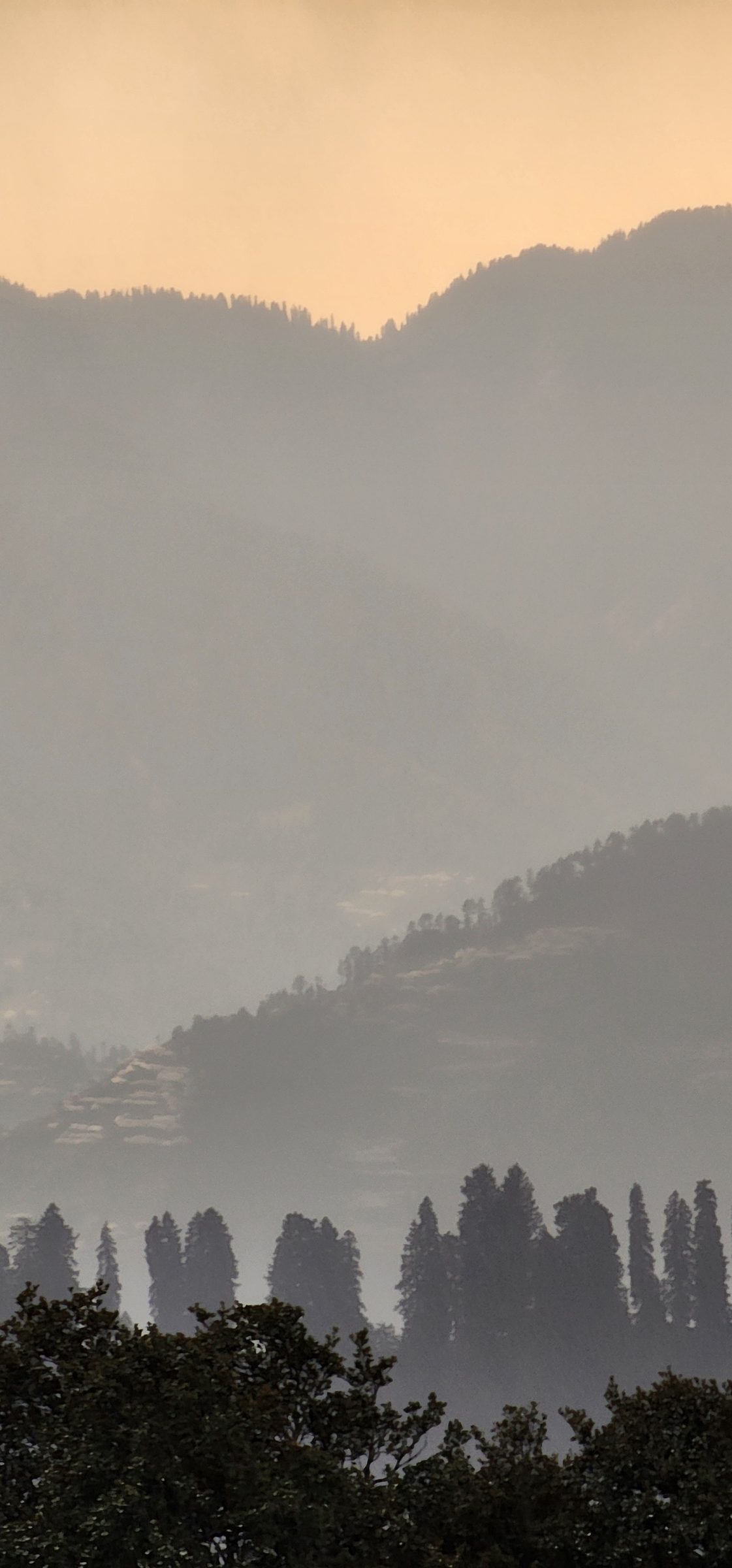 Layered forested mountains in the Jibhi Valley covered by soft mist.