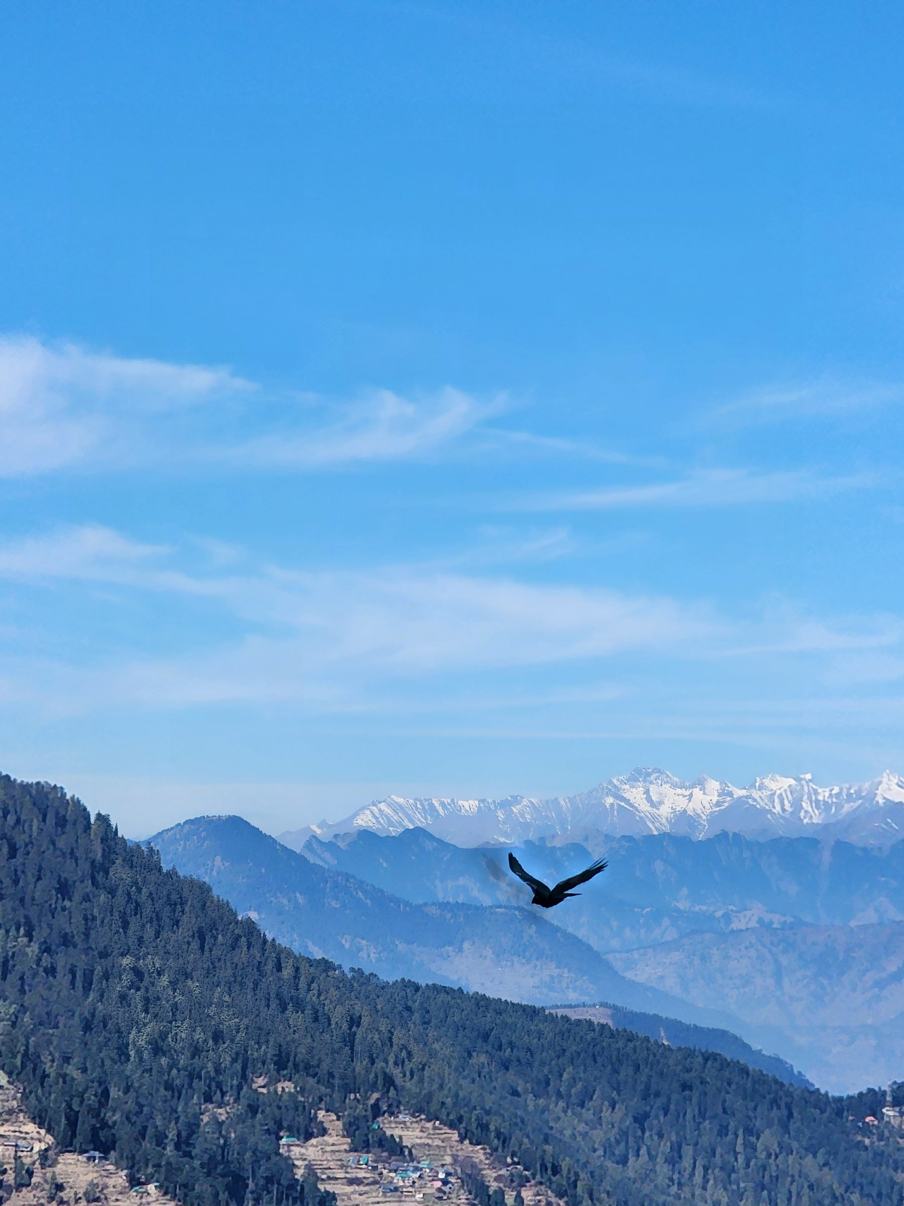 Rolling green hills and forests under a clear blue sky in Jibhi Valley