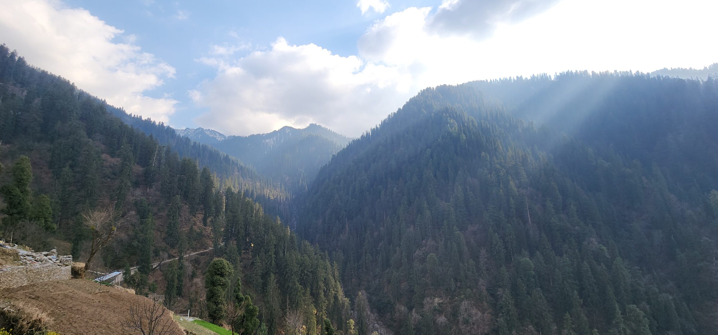 Layered forested mountains and valleys under bright, misty sunlight