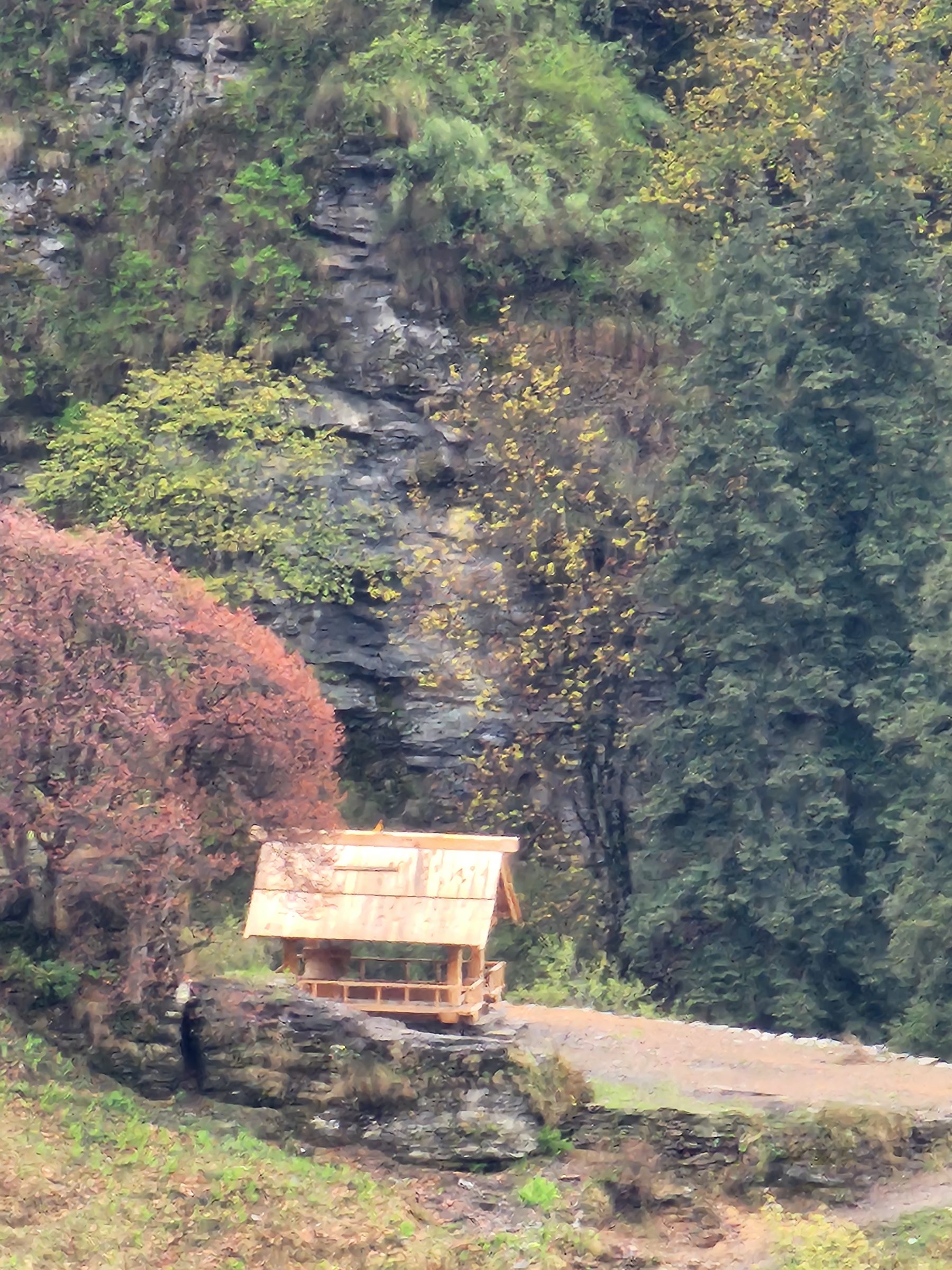 Wooden structure next to a dirt road surrounded by dense green forest and rocks