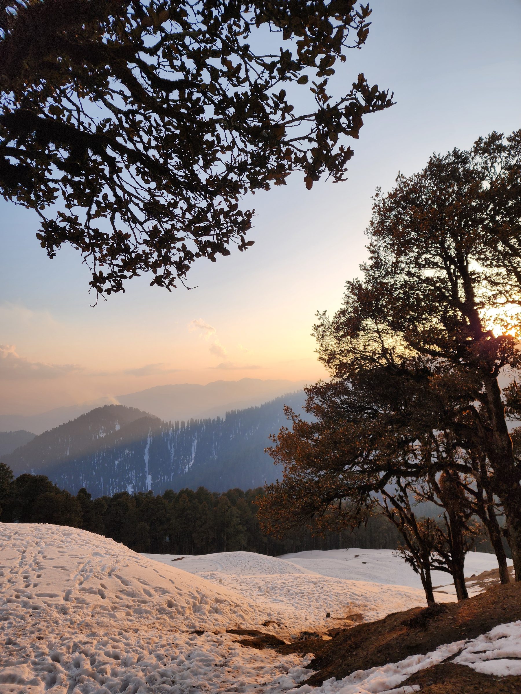 Foreground tree branches frame a snowy, sunlit hillside landscape.