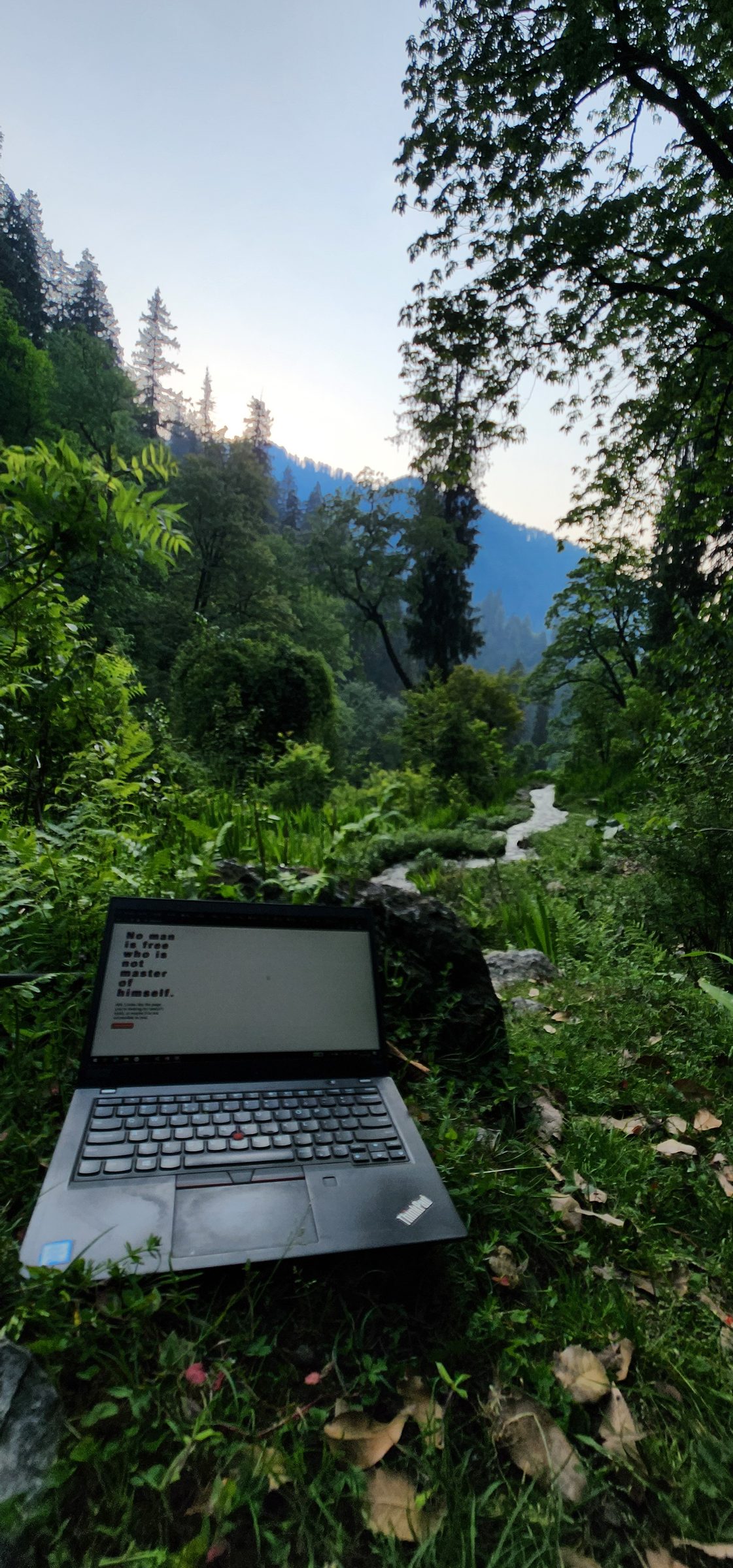 Laptop resting on the ground among dense green forest and mountainous landscape