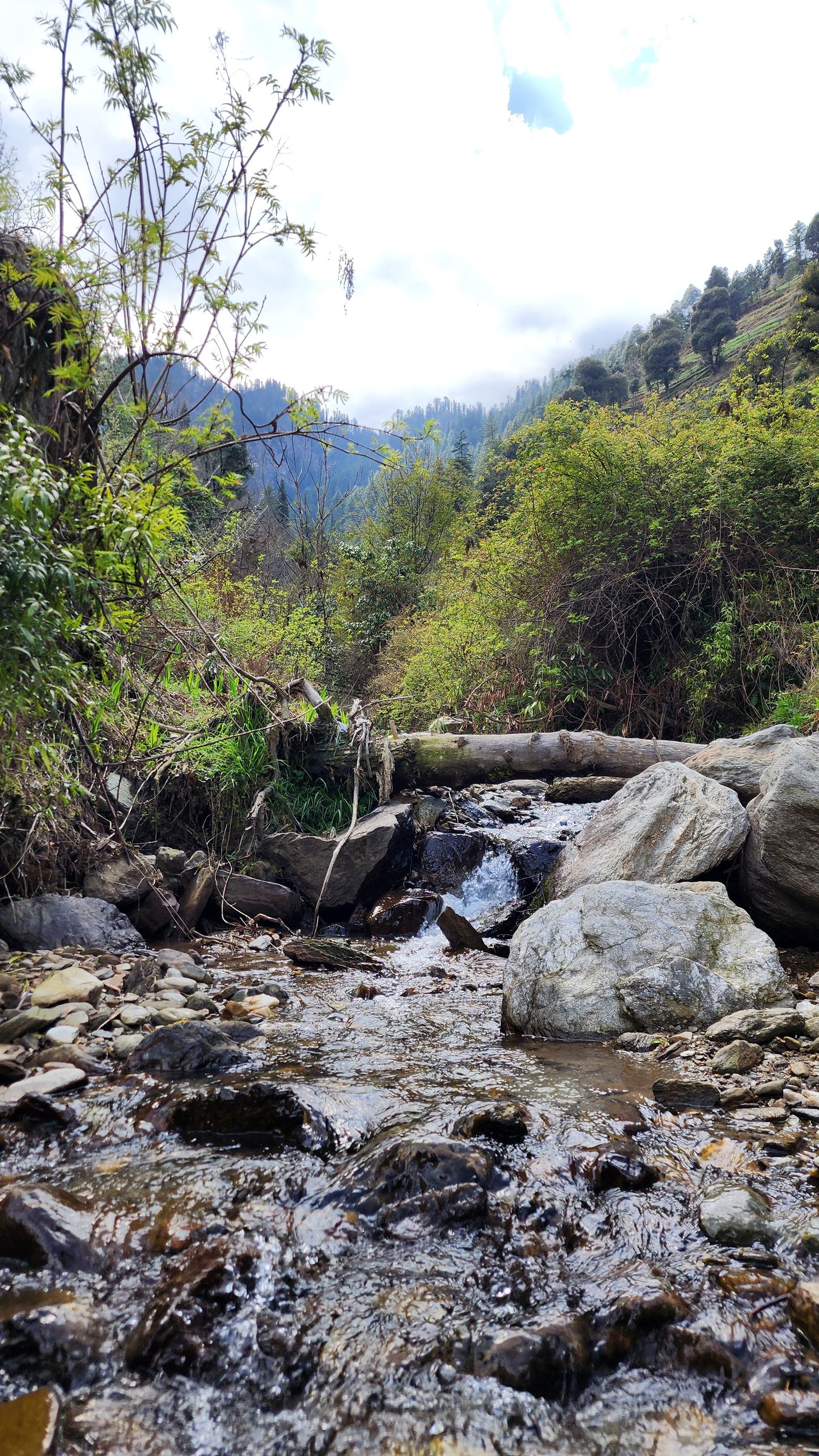 Clear stream flowing over rocks surrounded by vibrant green vegetation and trees, Near Ailyak Seri