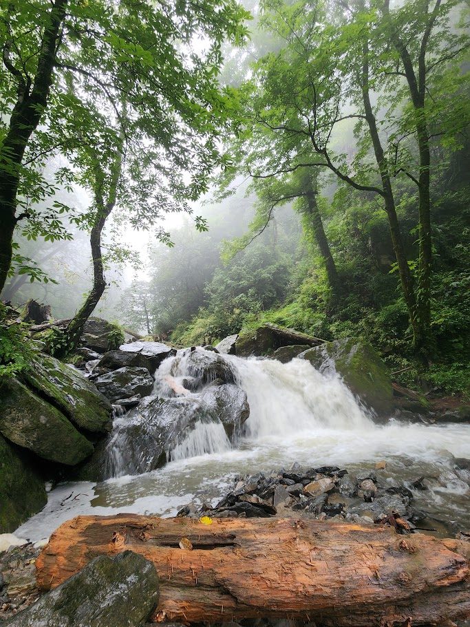 A flowing stream over rocks surrounded by dense green trees and heavy mist, near Ailyak Shoja.