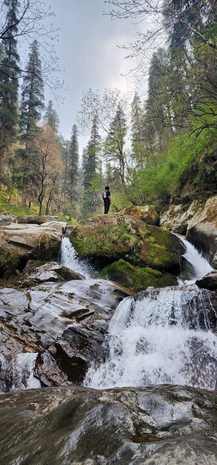 Clear stream cascading over mossy rocks surrounded by tall pine trees, Near Ailyak Shoja.